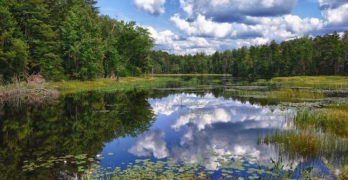 Adirondacks Lake and Pine Trees Poetry Prompt