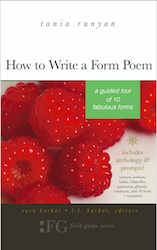 How to Write a Form Poem-A Guided Tour of 10 Fabulous Forms-poetry writing book write anything even chocolate poems