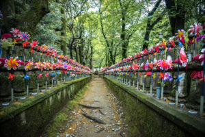 row of colorful pinwheels in tokyo