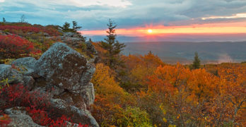 autumn sunrise Bear Rocks Dolly Sods wilderness Davis West Virginia