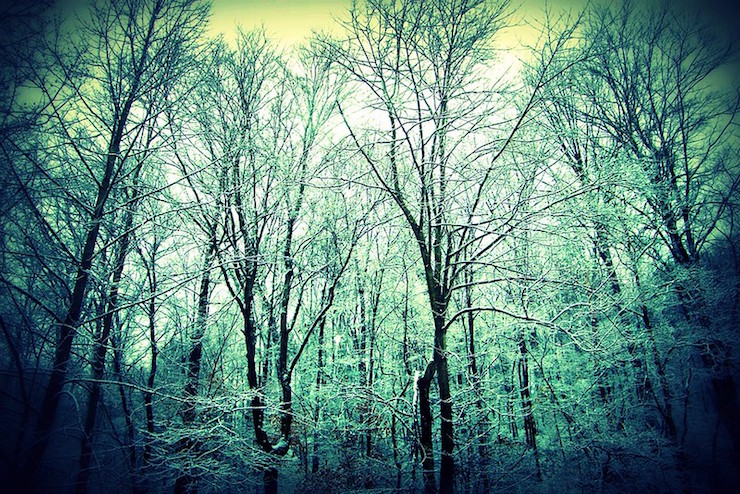 Shivering Ground Eerie Forest Science Fiction Stories