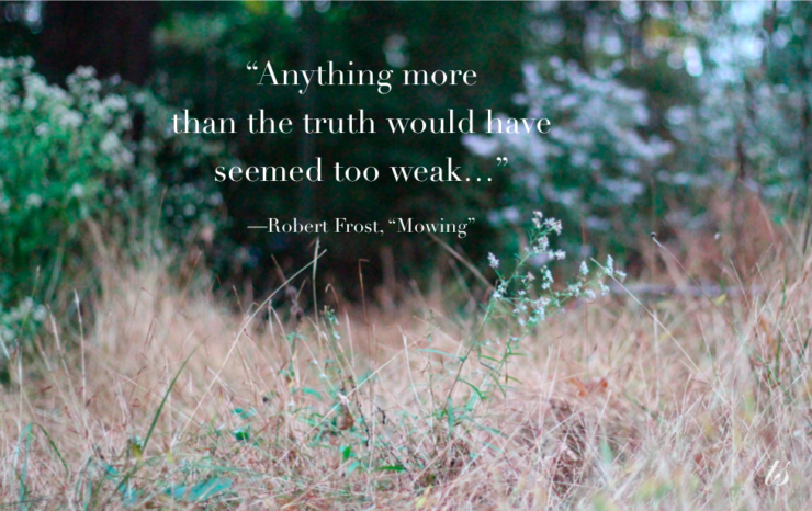 anything more than the truth would have seemed too weak Robert Frost Mowing quote field and trees