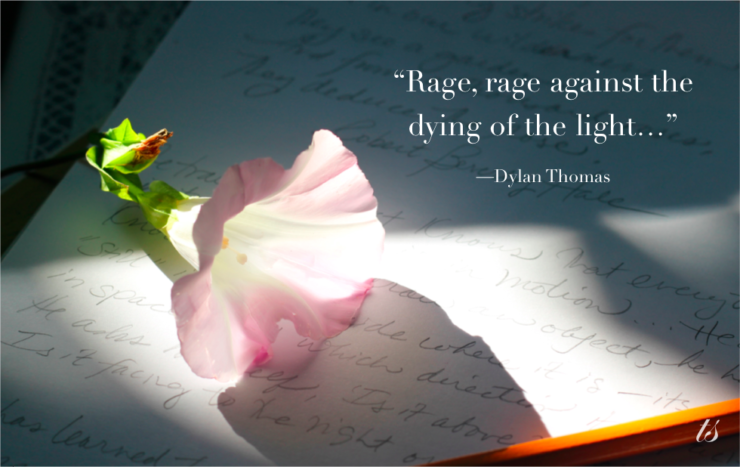 rage rage against the dying of the light dylan thomas quote morning glory night