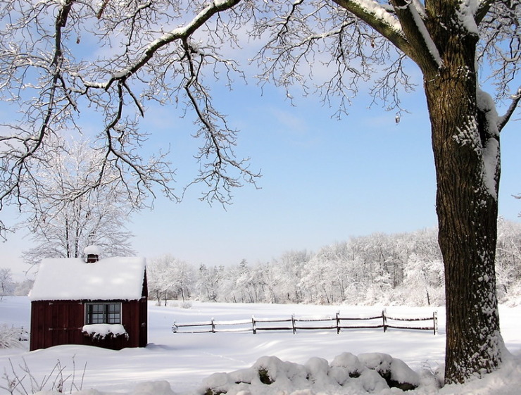 Farmstead in winter like a hermitage