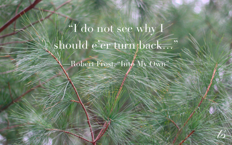 I do not see why I should e'er turn back-Into My Own poem Robert Frost