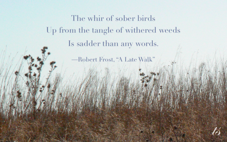 tangle of withered weeds is sadder-A Late Walk Robert Frost poem