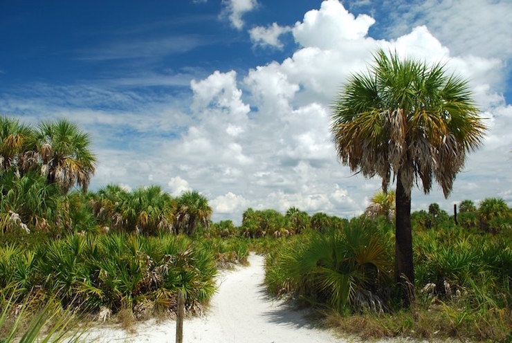 Caladesi Island State Park Florida 50 States United States