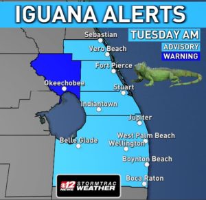 iguana alerts Florida map