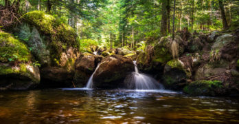 Stream waterfall Dave Malone