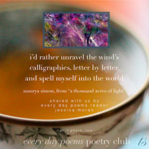 a thousand acres of light maurya simon poem