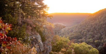 Arkansas Hawksbill Crag-Whitaker Point