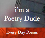 I'm a poetry dude grey