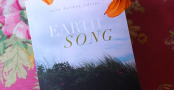 earth song nature poems climate poems daylilies