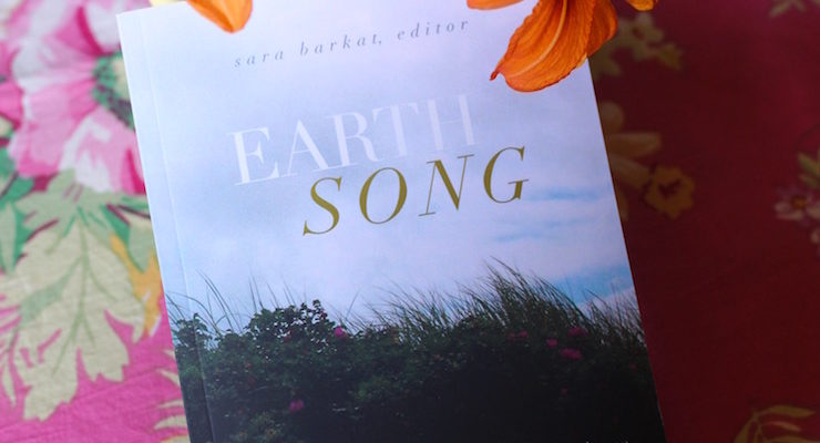 earth song nature poems climate poems daylilies