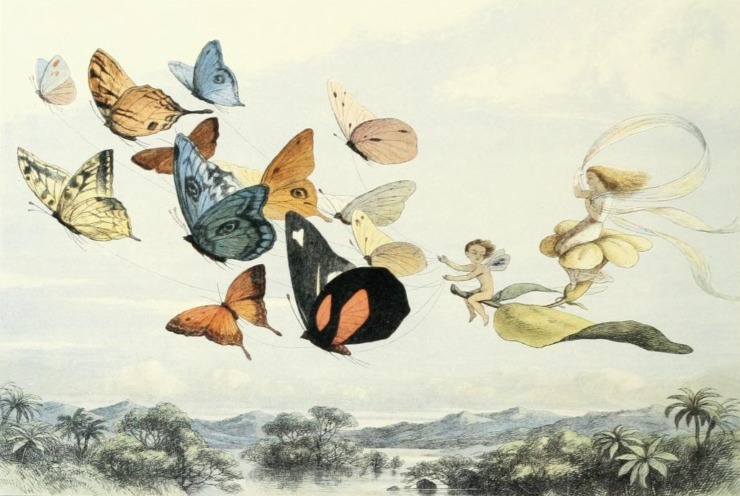 multi-colored butterflies fly in the air with a fairy riding them to illustrate fairyland poe