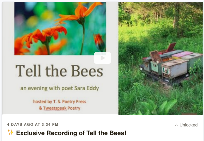 exclusive recording of tell the bees