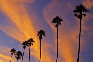 California Sunset Montecito