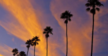 California Sunset Montecito