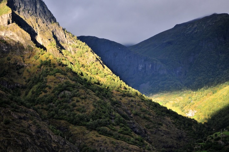 Sunlight valley Norwegian Fjord Summer's Finish