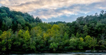 cumberland falls Kentucky US river trees