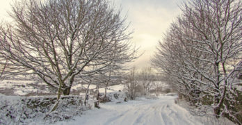 Snowy road in England Willome