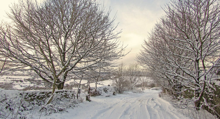 Snowy road in England Willome