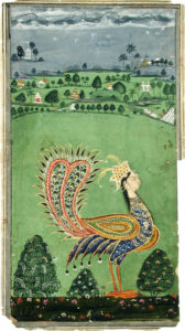 a peacock with a mans head in a green field.