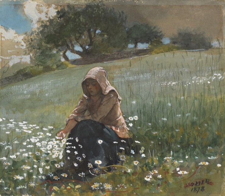 a woman picking daisies in a field