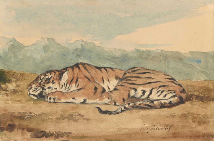 a tiger lays on the ground as if he has no energy