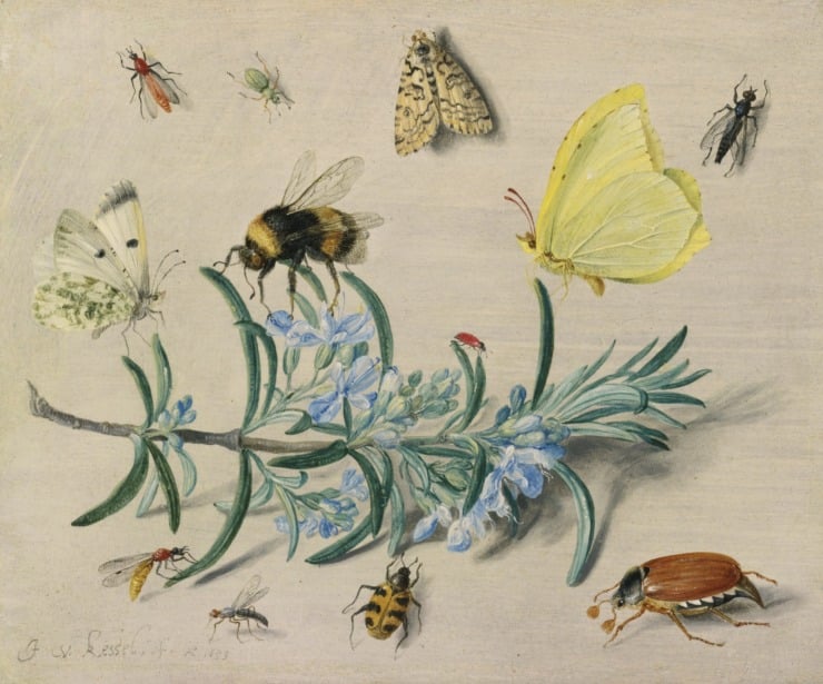 a bee and other insects are around a blossom