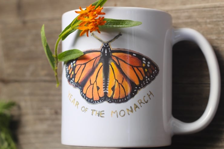 mug with butterfly weed native wildflowers