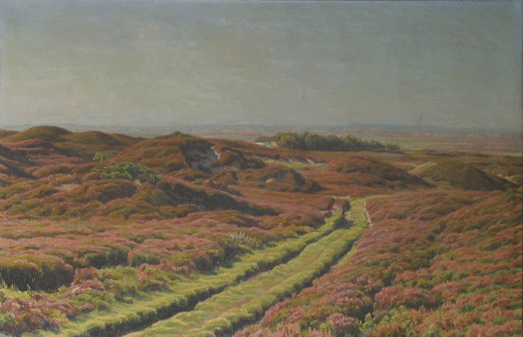 a vast moor with field flowers 