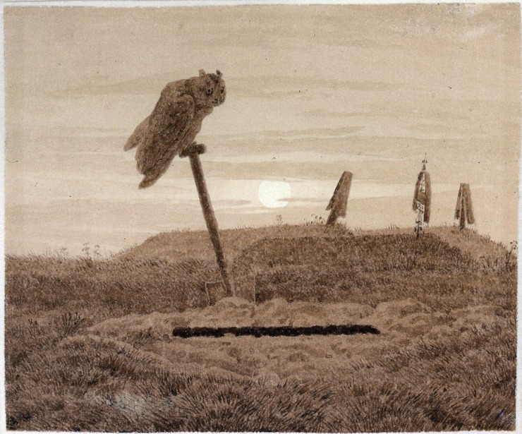 owl stands over grave
