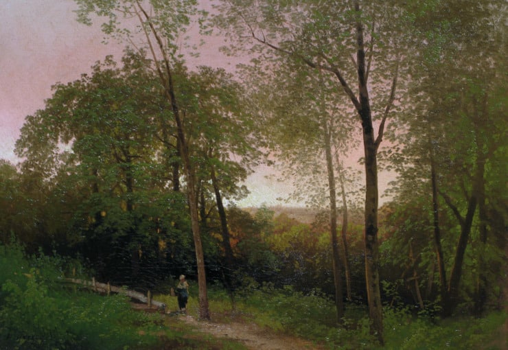 forest scene at sunset with someone watching it