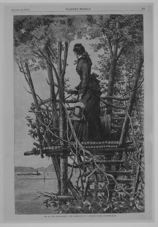 woman standing in a bird's nest lookout