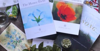 The Honey Field and Poetry Club series-1