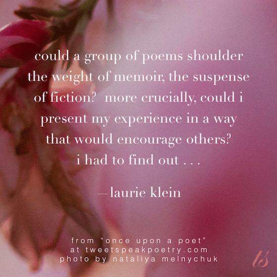 could a group of poems laurie klein