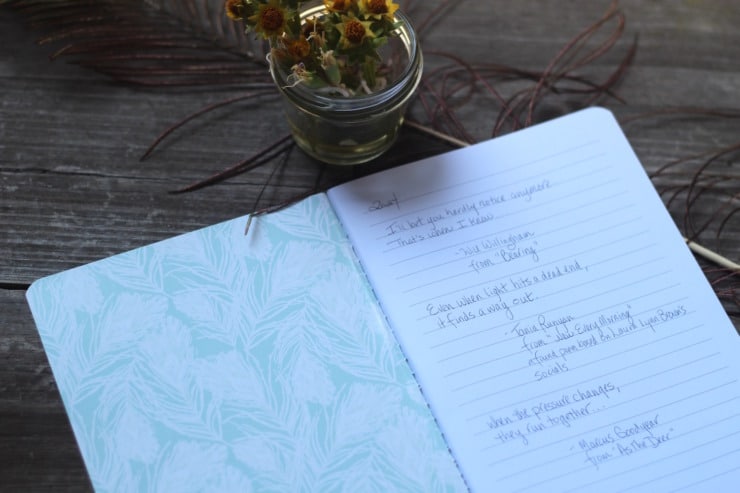 journal your poems