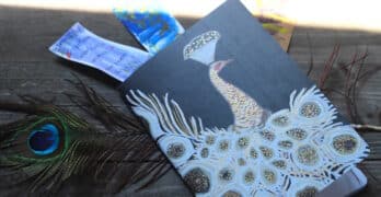 peacock notebook