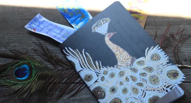 peacock notebook