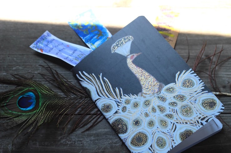 peacock notebook