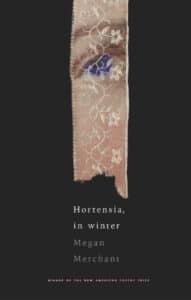 Hortensia in winter Merchant