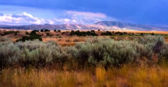 Idaho landscape Hodges