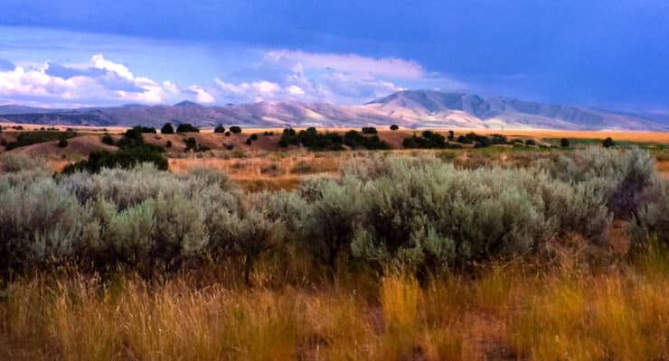 Idaho landscape Hodges