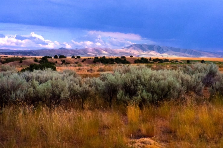 Idaho landscape Hodges