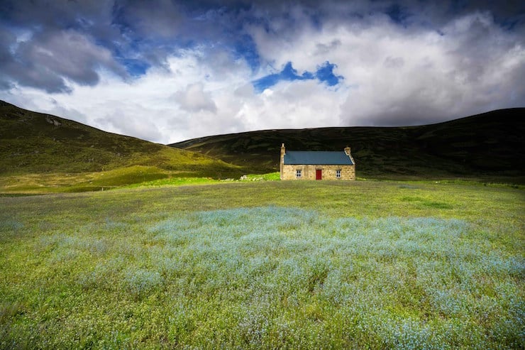 lone house in field